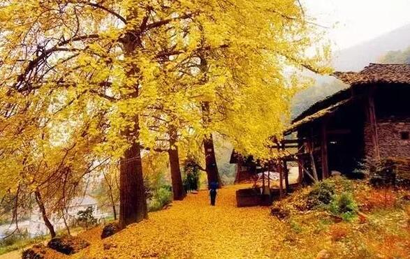 南山农家乐推荐