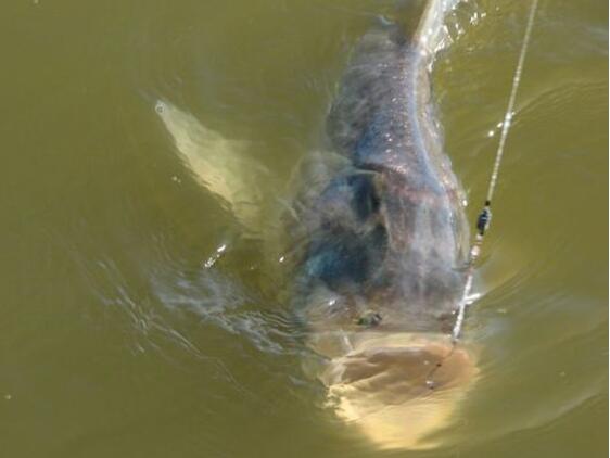 南山农家乐推荐冬季钓鱼