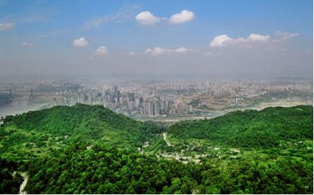 南山农家乐推荐