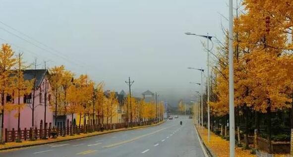 南山农家乐推荐