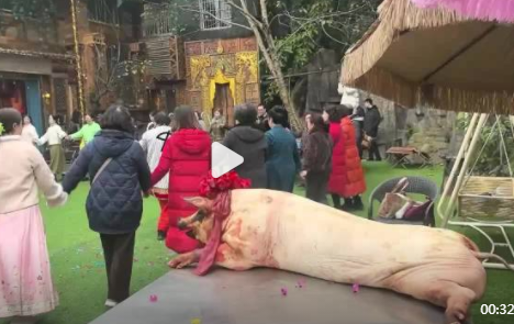 南山花中溪聚欢颜，杀年猪仪式贺丰年！