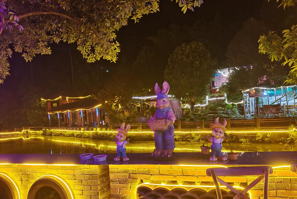 美丽的南山花中溪农家乐夜景