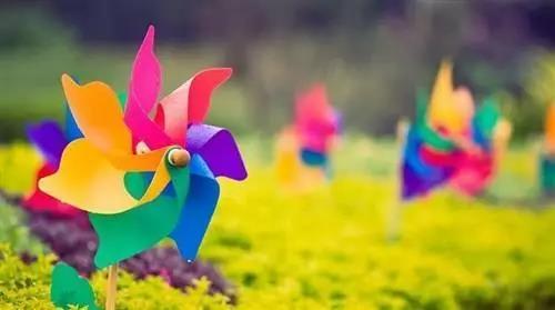 南山农家乐推荐