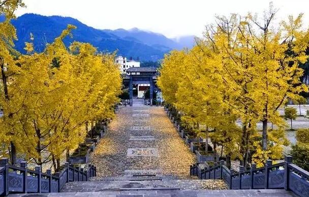 南山农家乐推荐