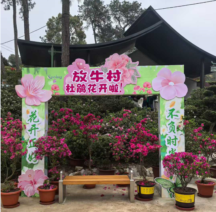 花中溪，一场花海与美食之约