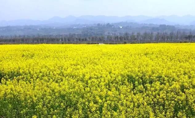 南山农家乐推荐