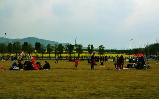 南山农家乐推荐