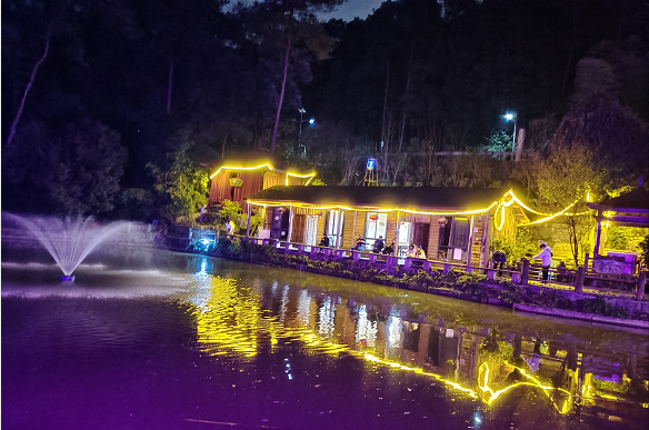 美丽的南山花中溪农家乐夜景