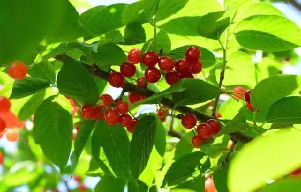 南山农家乐推荐