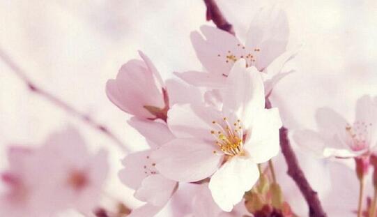 南山农家乐推荐