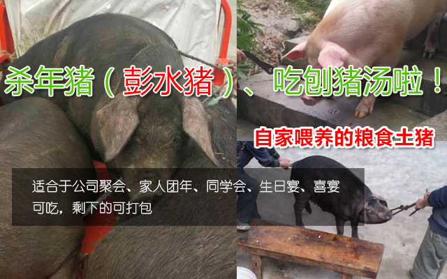 南山农家乐年猪