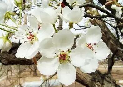 南山农家乐推荐