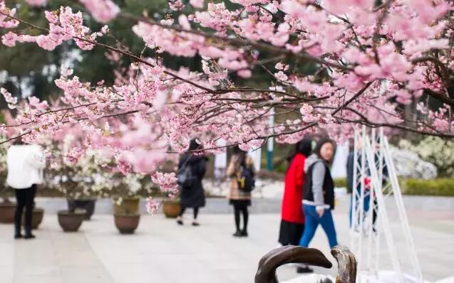 南山农家乐推荐