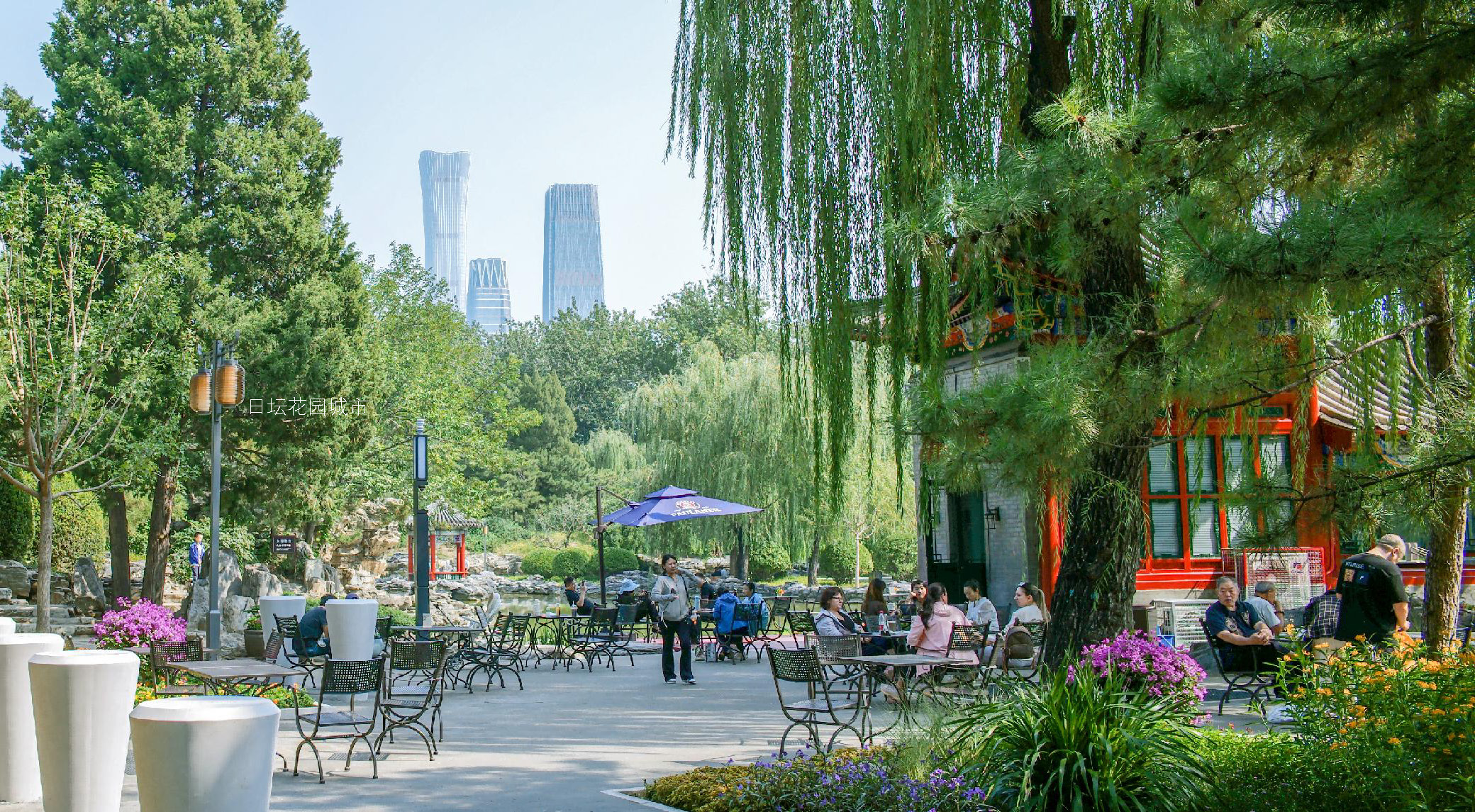 真作】【WISH】林朝路「朝の田園」油彩 6号 田舎町風景 〇新自然