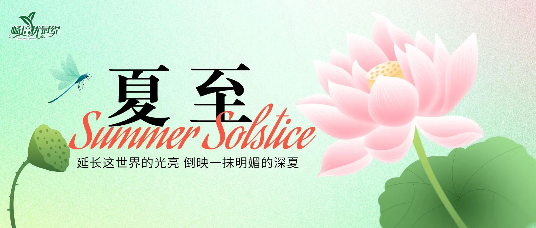 畅享夏至丨羊奶养生正当时