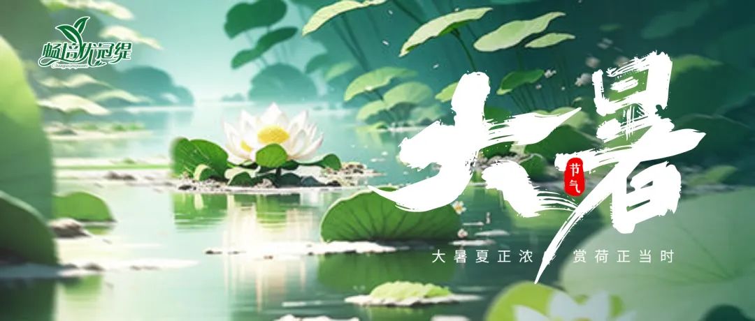 大暑酷暑丨羊奶相伴