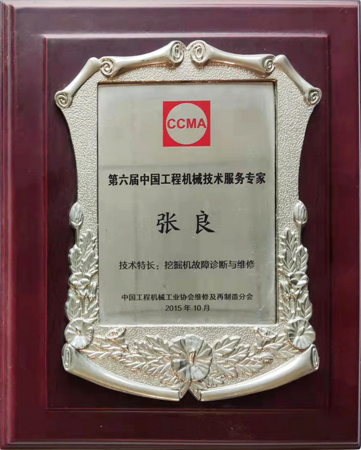 第六届中国工程机械技术服务专家