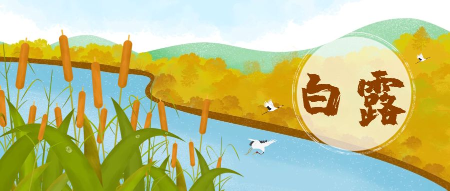 白露节气 | 秋高气爽，和孩子一起知节气，懂生活