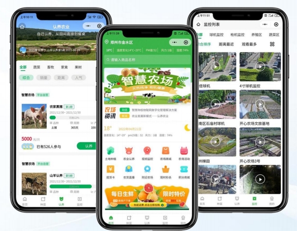 定制软件开发，小程序开发与APP开发：全方位解析