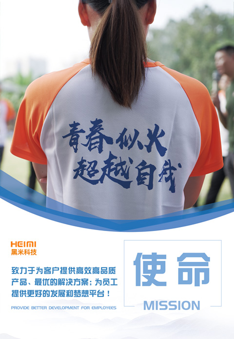 企业使命