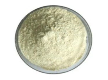 Vitamin K1 Powder Phylloquinone 5%