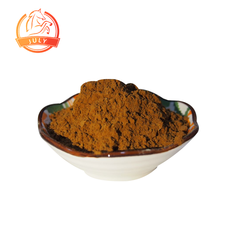 Ginkgo biloba extract