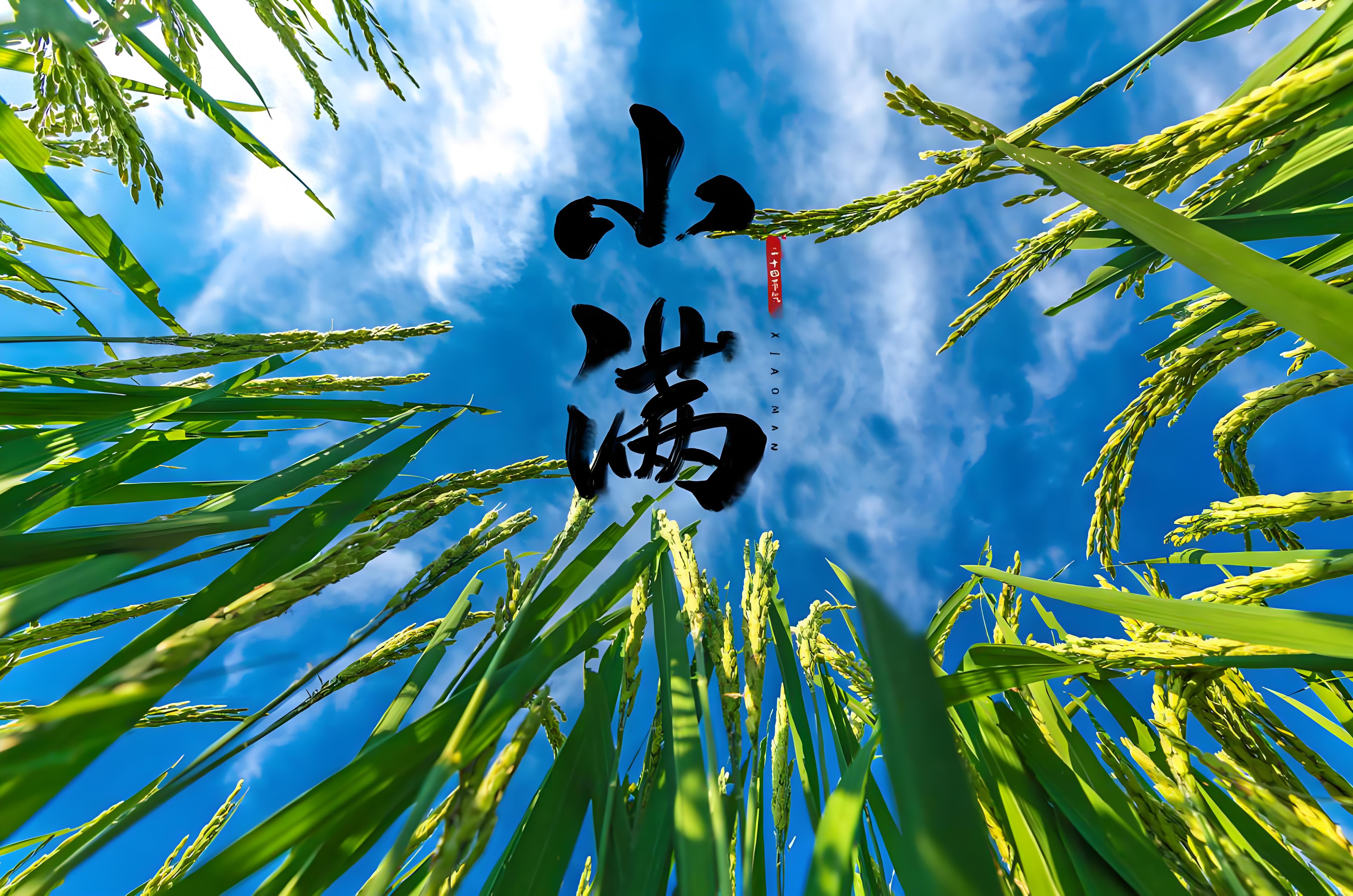 万物渐丰 小得盈满