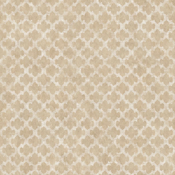 阿姆斯壮铂晶龙