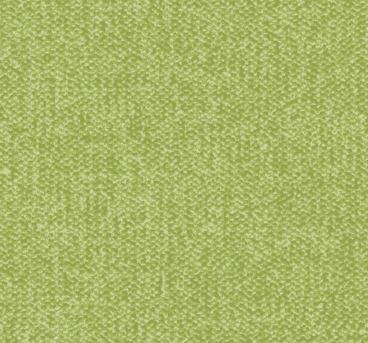 阿姆斯壮织炫龙