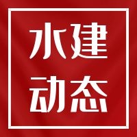 鹽城市2025年度城市防洪排澇補短板項目西潮河調(diào)節(jié)閘和小新河堰站工程通過通水驗收