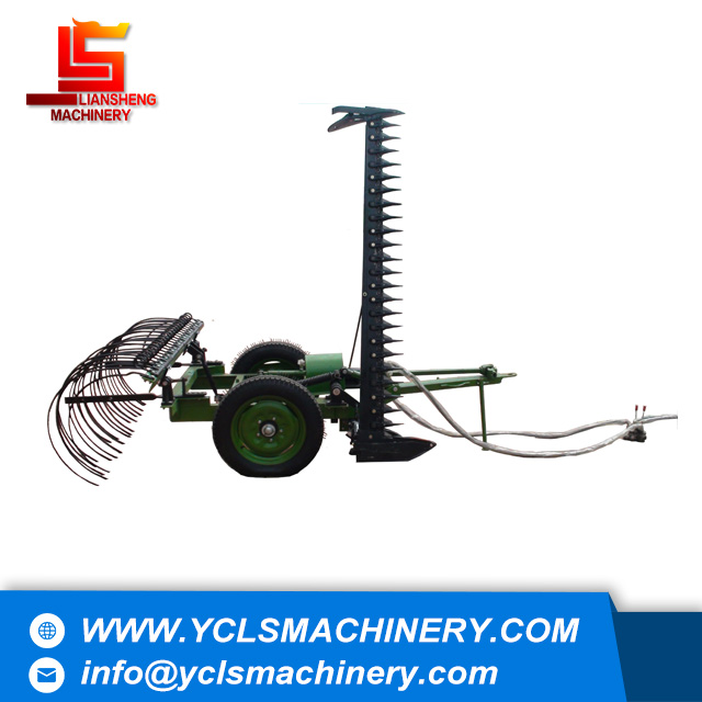 Cutting and raking machine