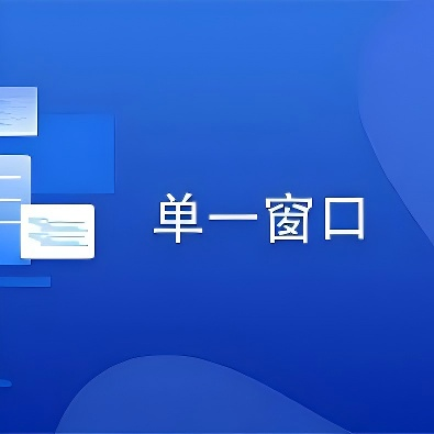 货物申报 报关单证及电子数据自助查询打印试点及操作指南