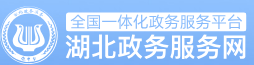 湖北政务服务网
