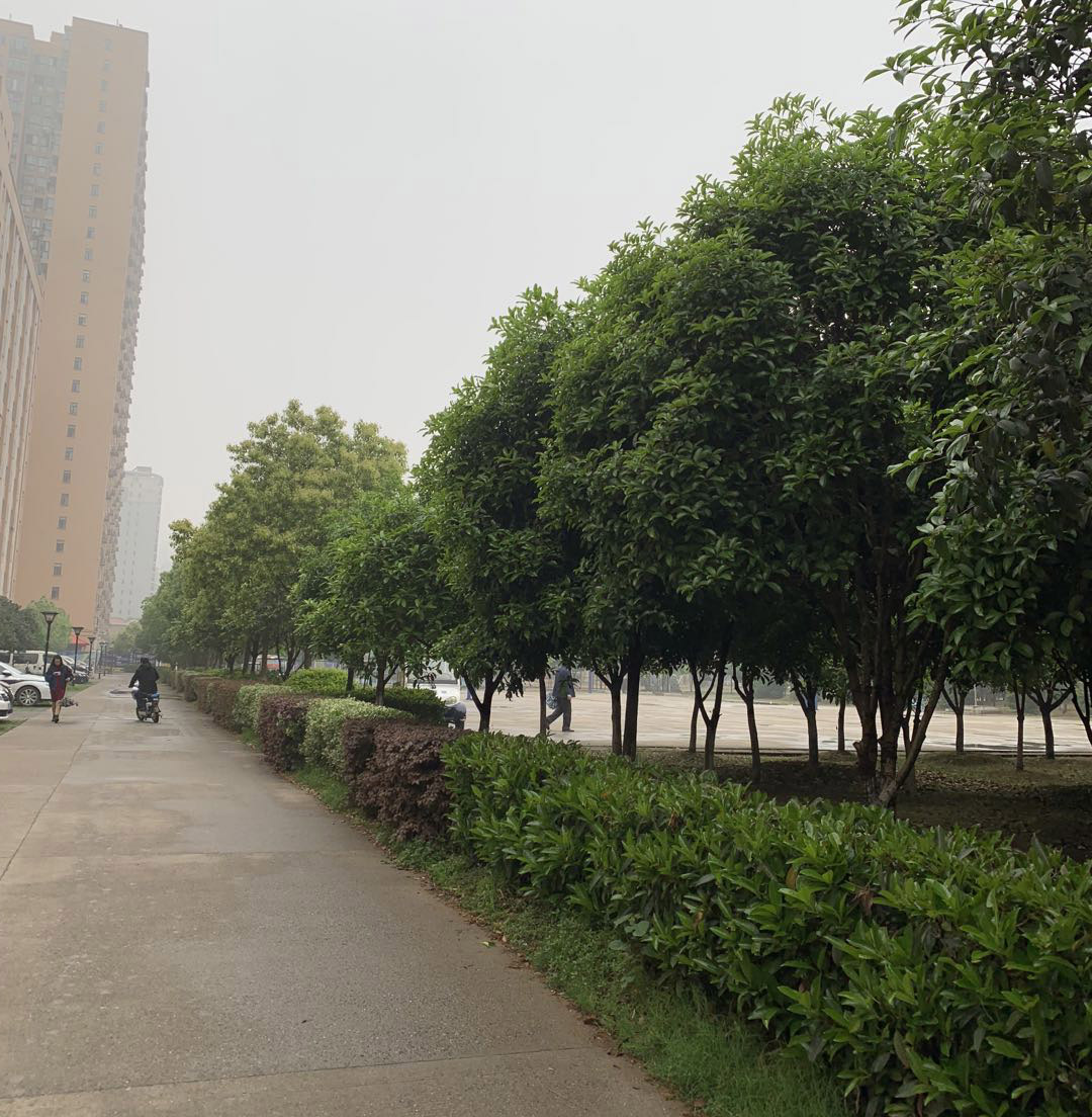 校园环境3