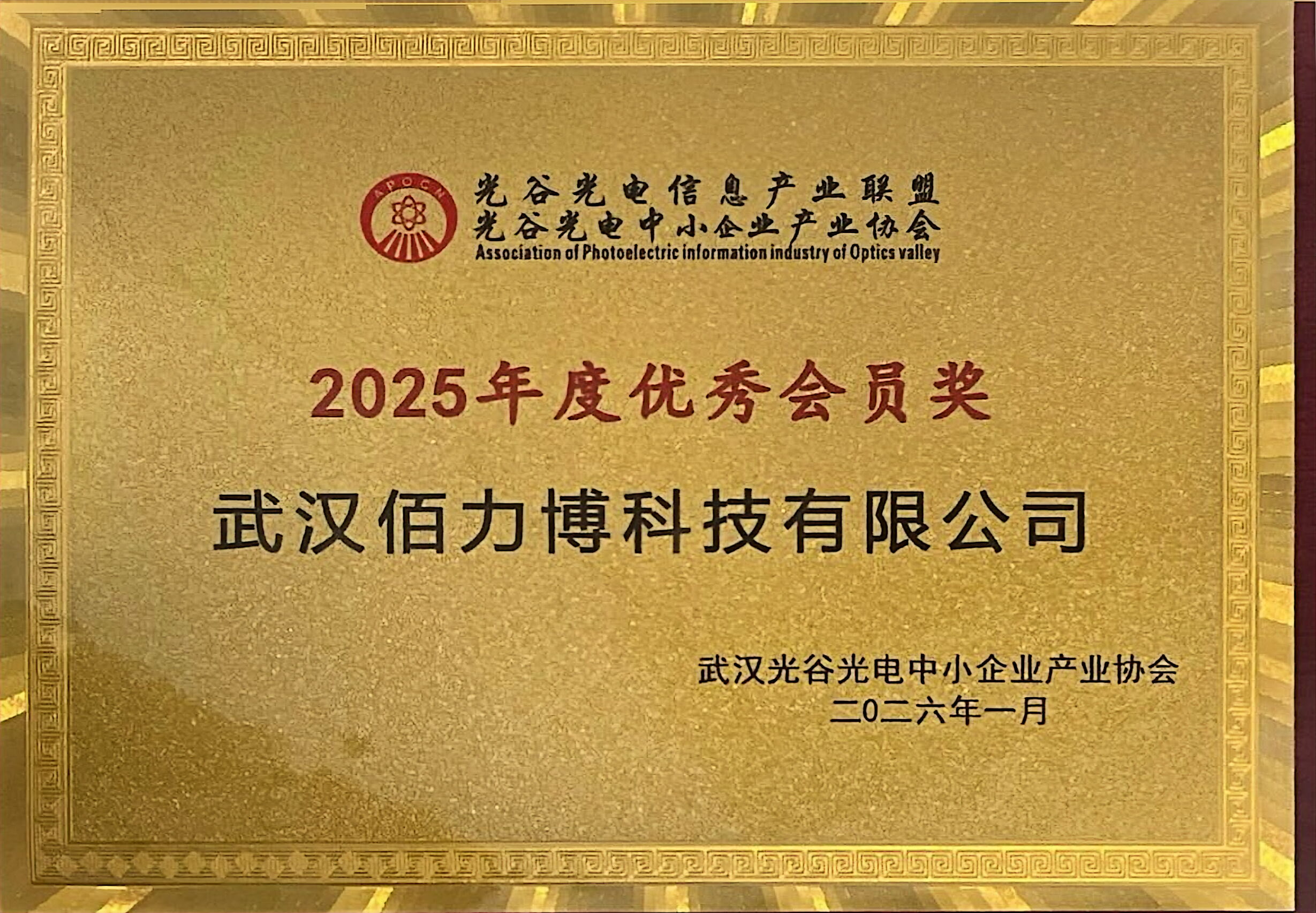 喜讯！佰力博科技荣获光谷光电信息产业联盟光谷光电中小企业产业协会2025年度优秀会员奖。