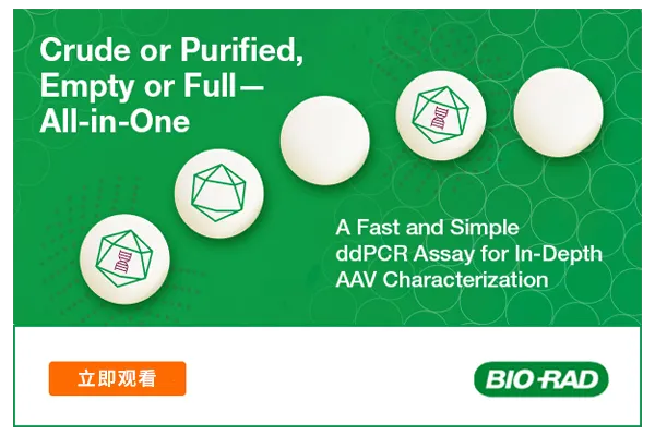 探索rAAV载体的高效表征