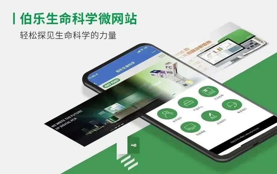 WB 内参 β-actin、GAPDH 也会「出错」？这一点千万注意