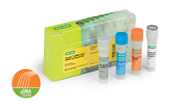iScript™ gDNA Clear cDNA Synthesis Kit