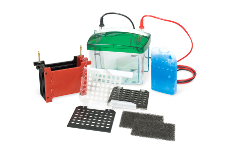 小型 Mini Trans-Blot® 转印槽