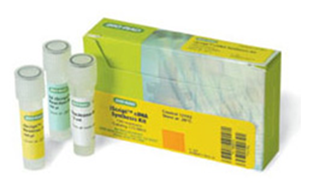 iScript™ cDNA 合成试剂盒
