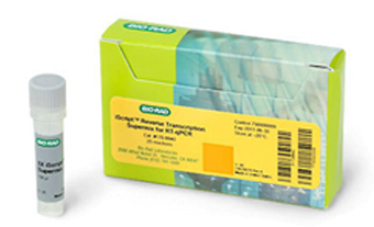 用于 RT-qPCR 的 iScript™ 逆转录超混合液