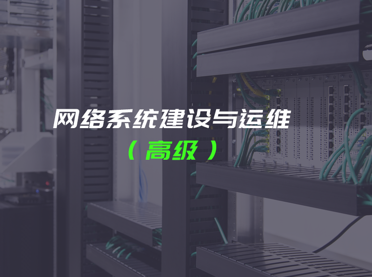 “网络系统建设与运维（高级）”课程大纲 