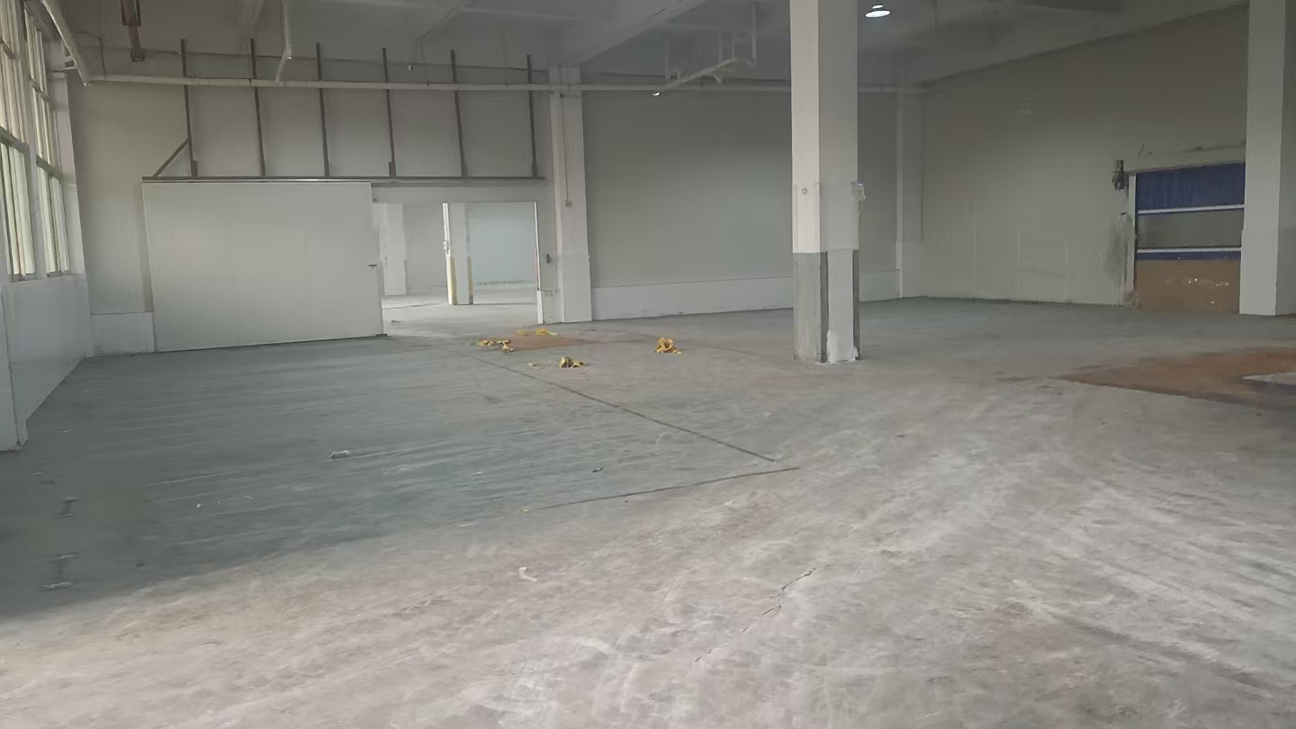 广州食品厂灰色固化剂地坪施工中