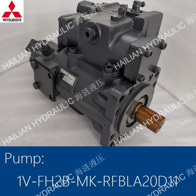 Pump 1V-FH2B-MK-RFBLA20D11