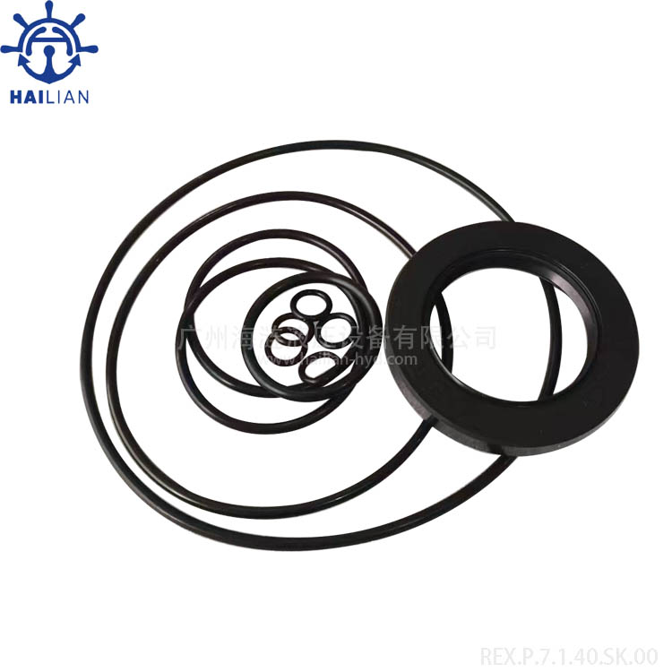 Seal kit/Repair kit for A7V40DR1LPF00 hydraulic pump