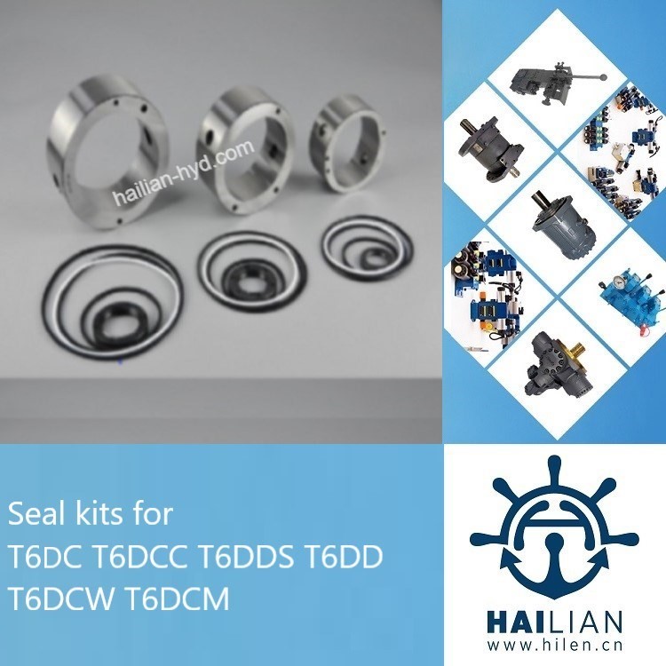 T6DC T6DCC T6DDS T6DD T6DCW T6DCM seal kit for Denison hydraulic pump