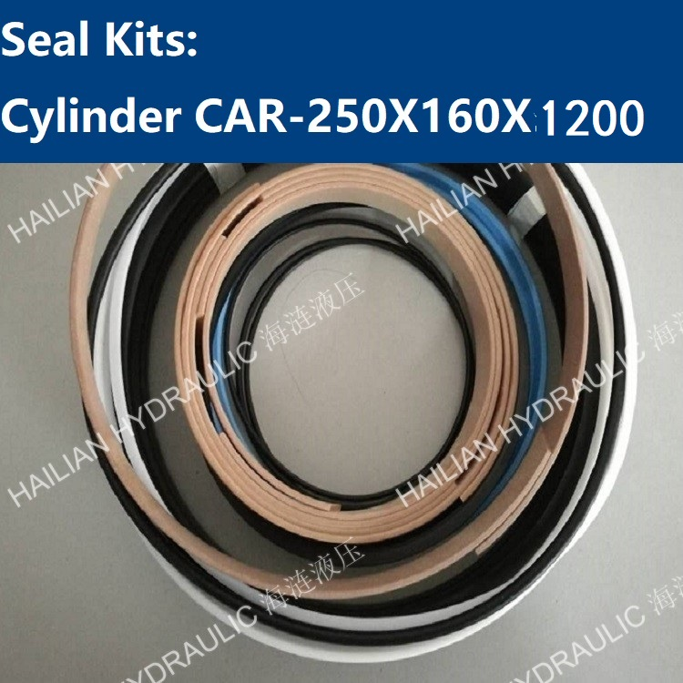 Seal kits for Cylinder CAR-250X160X985ST-Dwg.No.HC17576