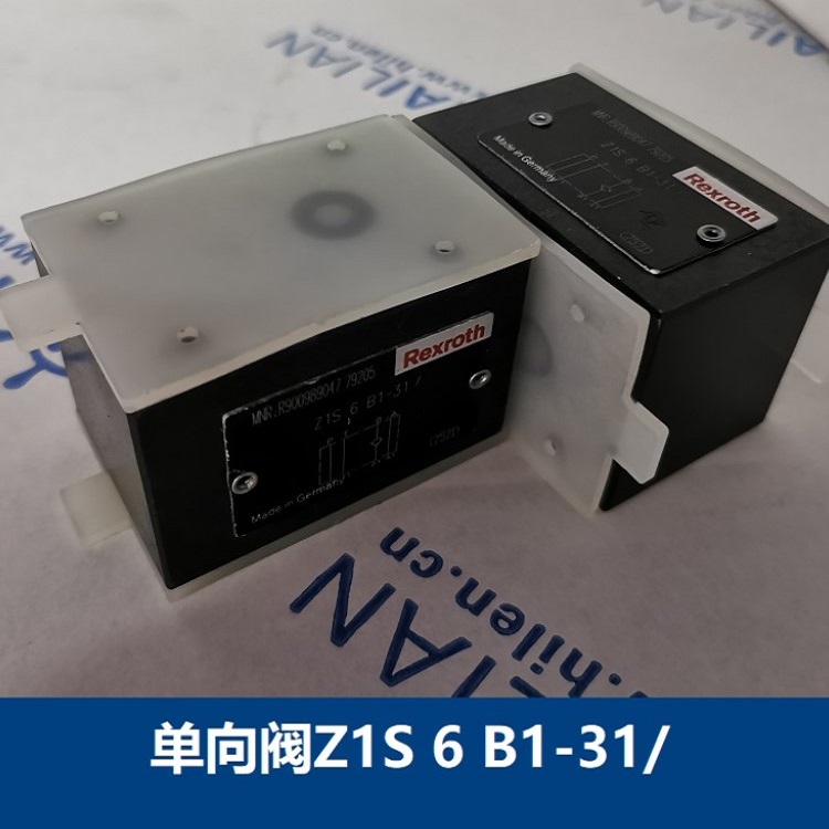 Check Valve Z1S6B1-31/