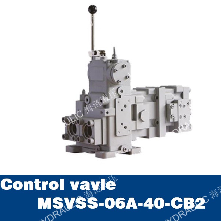 Control vavle MSVSS-06A-40-CB2