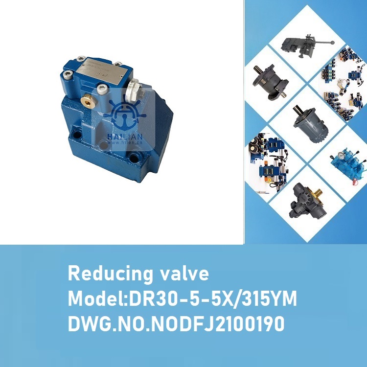 DR30-5-5X-315YM reducing valve DWG.NODFJ2100190 for deck crane